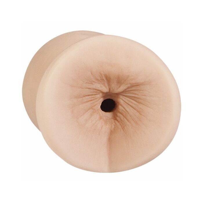 All star porn stars - kristina rose