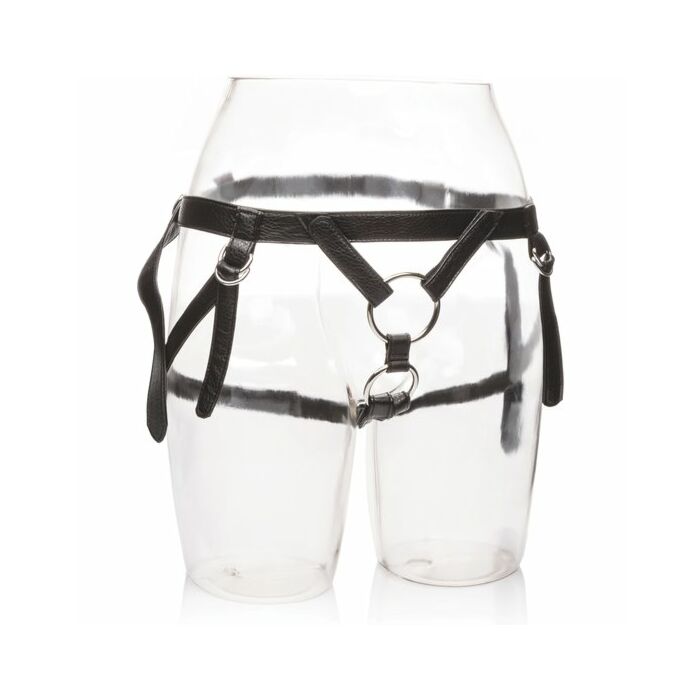 Her royal harness the dutchess