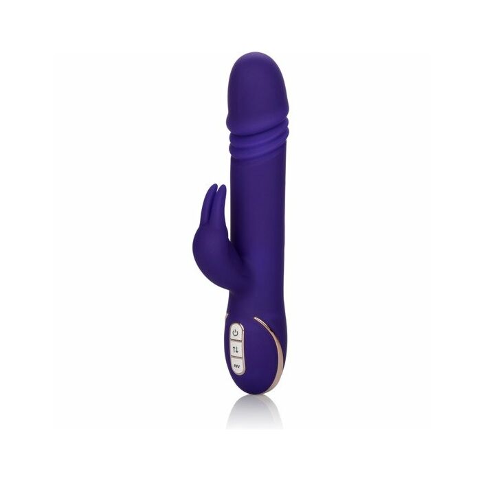 Jack rabbit signature purple