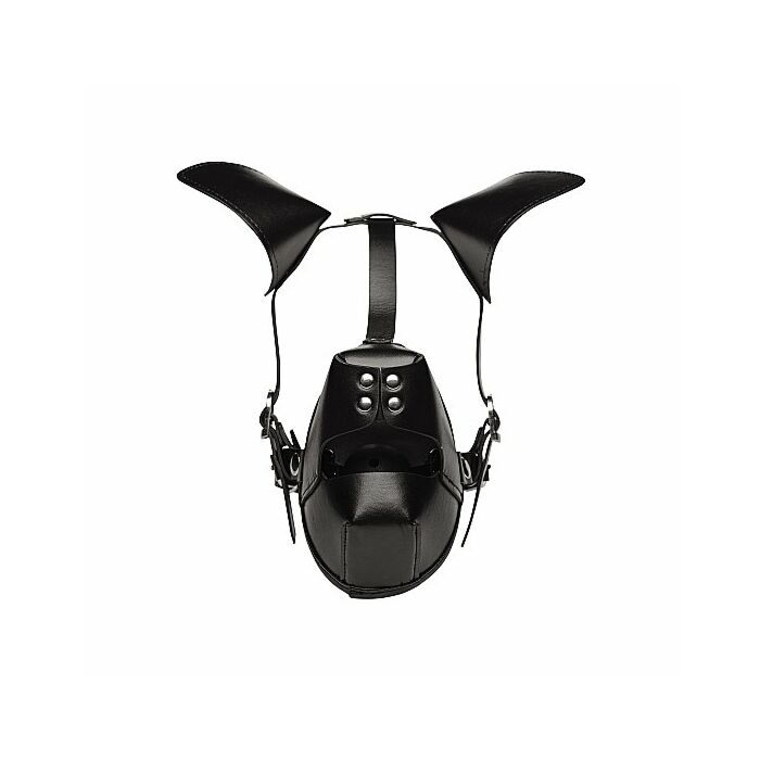 Pup puppy play hood and gag