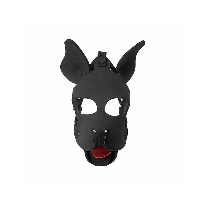 Neoprene dog hood with removable muzzle