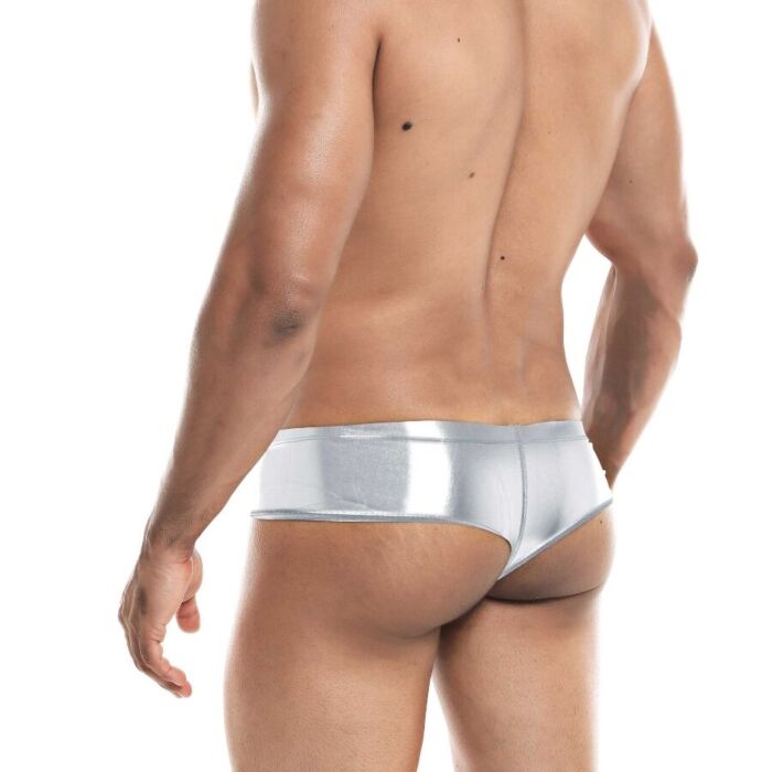 Seductive Silver Panty