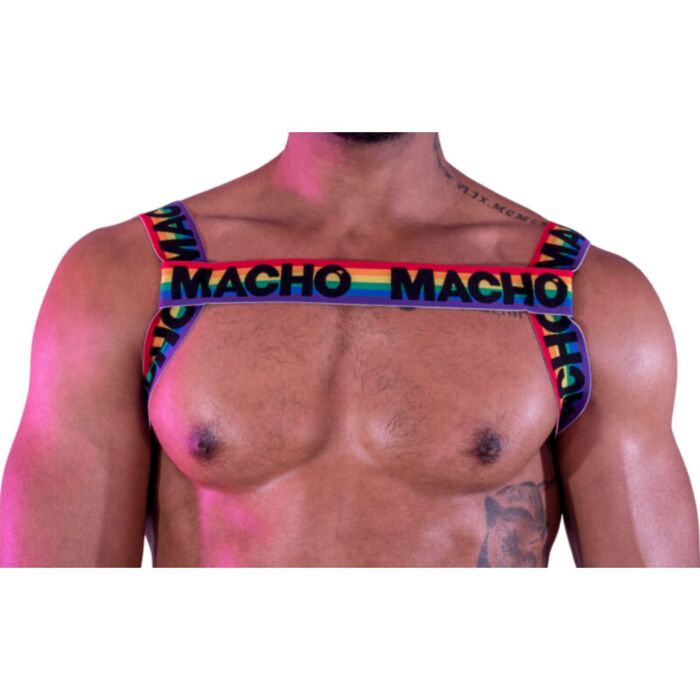 Double Pride: Limited Male Harness