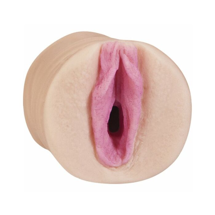 All star porn stars - faye reagan