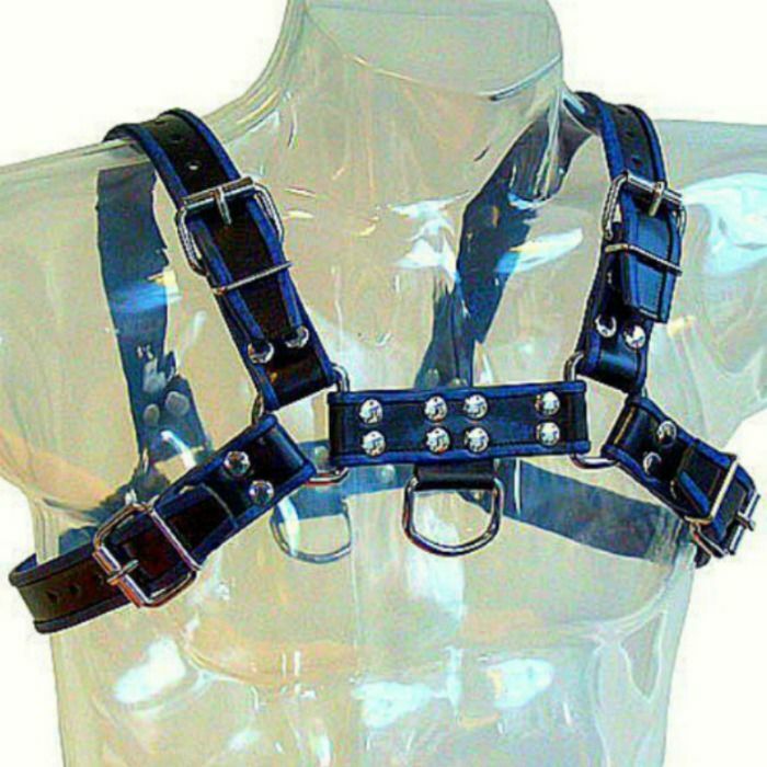Metal hard chest bulldog harness black/blue leather