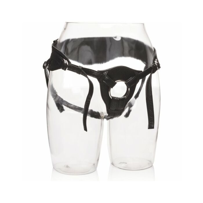 Her royal harness the queen