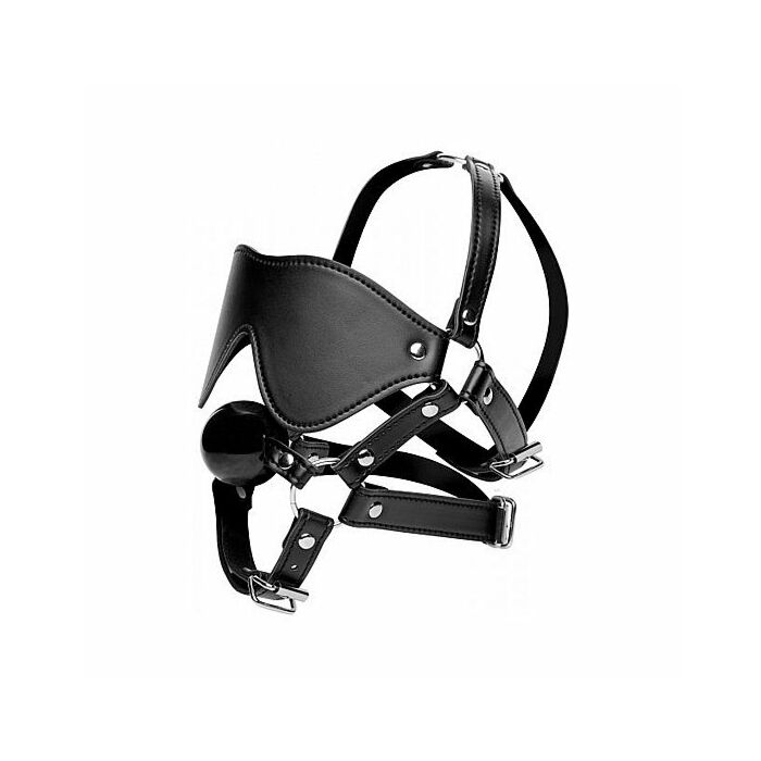 Eye mask harness with ball gag