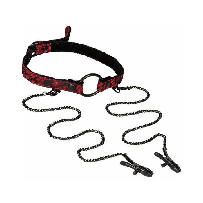 Scandal open mouth gag with clamps