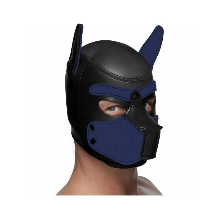 Neoprene spike puppy hood - black and blue