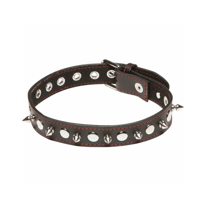 X-play spiked collar
