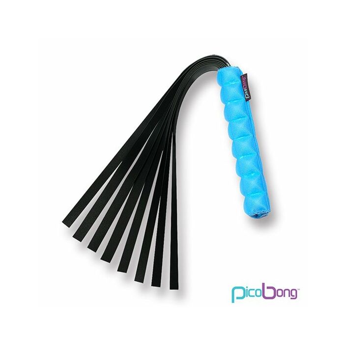 WHIP Take No Evil Picobong