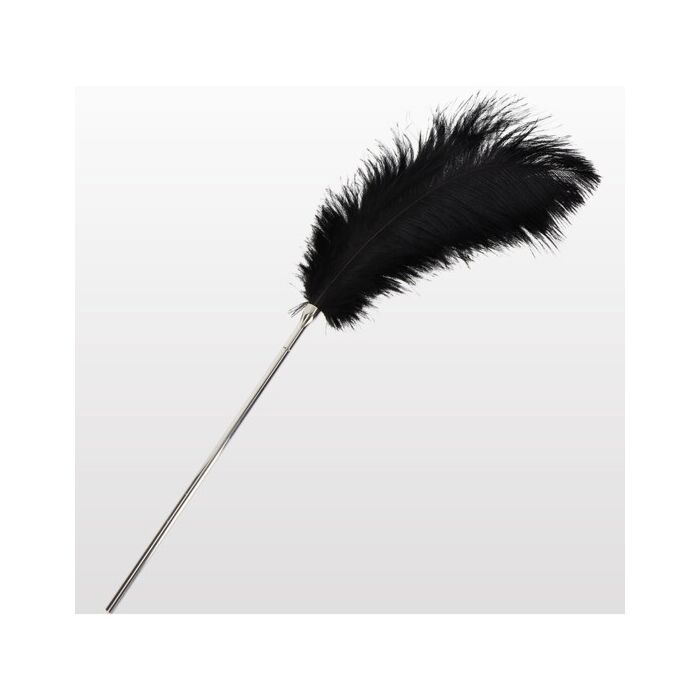 Seduction Feather Tickler