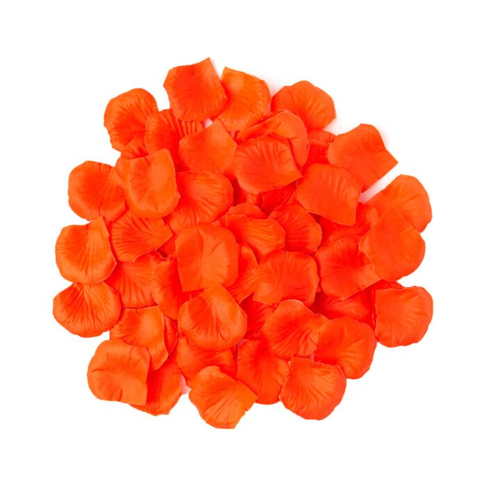Bright Orange Petals