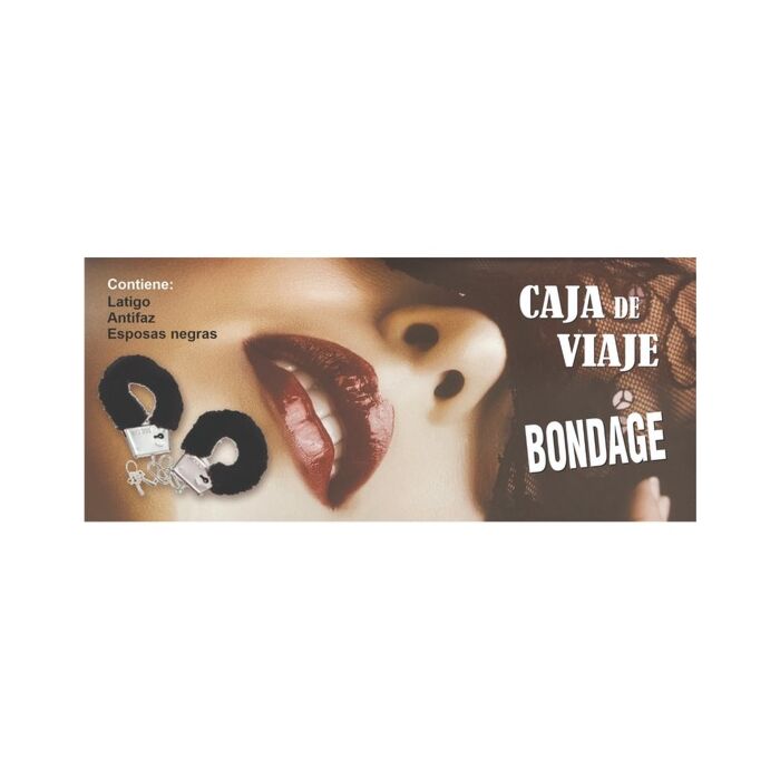 Essential BDSM Travel Kit.