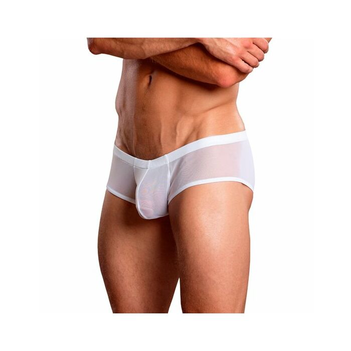 Male power white boxer transparencies