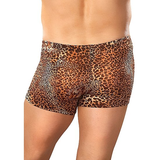 Male power leopard print boxer